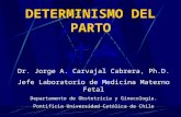 Determinismo Del Parto