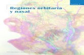 Anatomia Regiones Orbitaria y Nasal