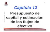 Capitulo 12 Presupuesto Capital