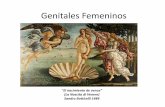 Clase 30 Genitales Femeninos