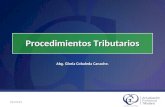 Algs Proc Tributarios en El Cot Venezolano