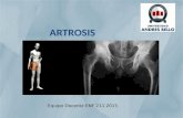 Clase Osteomuscular ARTROSIS 2015 (2)