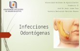 Infecciones Odontogenicas