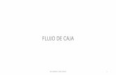 FLUJO DE CAJA.pdf
