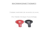 Fabian Tuca Biomagnetismo Curso