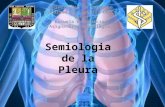 Semiologia Pleural
