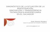 Diagnostico Sistema Nacional de Innovación Agrícola de El Salvador