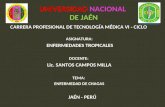 Enfermedad de Chagas 15-11-2014