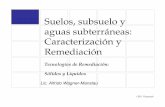 Clase  IV -Tecnicas RemediaciÃ³n UBA  [Compatibility Mode].pdf