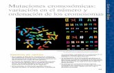 Cap 8 Seccion Cromosomas Conceptos de Genetica. Klug