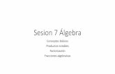 PDFSesion 7-8 Álgebra