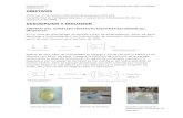 Informe 2 de Quimica Inorganica AII - Leo