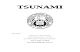 Informe Tsunami