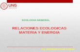 RELACIONES ECOLOGICAS MATERIA Y ENERGIA