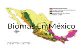 Biomas En México.pptx