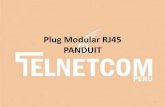 Category 6A UTP Modular Plug PANDUIT