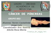 CA Pancreas