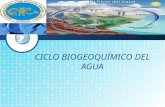 Ciclo Biogeoquímico Del Agua Original