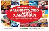 Amazonas Procolombia