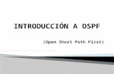 INTRODUCCION A OSPF