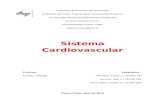 Trabajo Del Sistema Cardiovascular