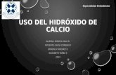 Hidroxido Calcio