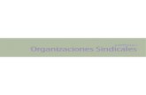 Organizaciones Sindicales Articles-99379_recurso_1