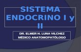 Histologia - Endocrino I y II