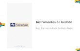 12 Instrumentos de Gestión.pptx