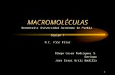Macromoléculas FQ III