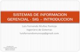 Sistemas de Información Gerencial - Introducción