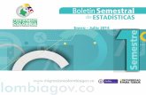 Boletin Migracion Colombia I de 2014.pdf