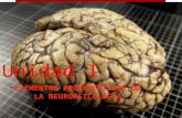 La Biopsicologia y Otras Disciplinas de La Neurociencia