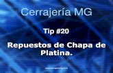 Tip 20 Repuestos Chapa Platina