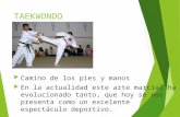 Preparacion Taekwondo