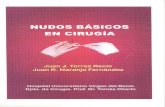 Cuaderno de Nudos - Torres Recio.pdf