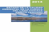 Estudio Del Estado de La Calidad Ambiental Cuenca Del Titicaca.