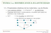 01a. Biomecánica de La Elasticidad A