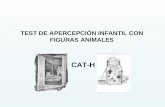 CAT-A presentacion PDF