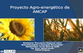 Biocombustibles- ANCAP -Grupo Montevideo_97