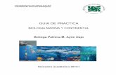 GUIA practica 2015-I.pdf