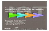 Voluntary Principles IGT-SPANISH GUIA.pdf