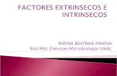 ECOLOGIA MICROBIANA- FACTORES EXTRINSECOS E INTRINSECOS.ppt