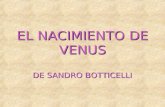 El Nacimiento de Venus 002