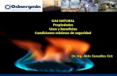 Gas Natural Propiedades Comparacion Usos Seguridad
