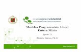 Modelos Programcion Lineal Entera Mixta