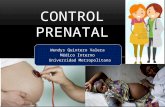 Controlprenatal 131104142937 Phpapp02 (1)
