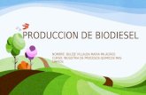 Produccion de Biodiesel