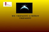 WE TRIPANTU Kam Wiñoy Txipantu