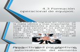 4.3 Formacion Operacional de Equipos